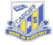 Cardiff Public School - Education NSW 0