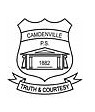 Camdenville Public School Newtown