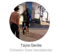 Cohesion Gym - Education NSW