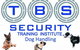 TBS Security Training - thumb 1