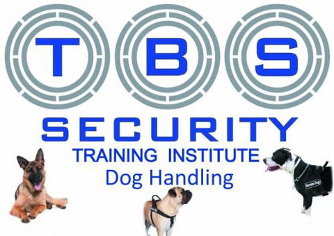 TBS Security Training - NSW Education 1