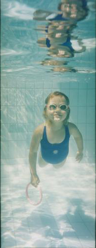 Coopers Swim School - Education NSW 0