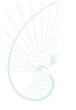 Cape Byron Rudolf Steiner School