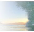 Soul Surfing - Education NSW