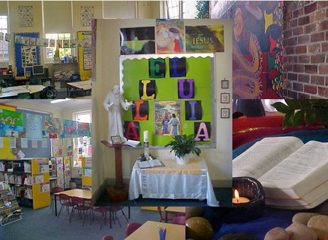 St Francis Of Assisi Regional Primary School - Education NSW 2