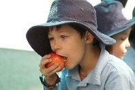 St Michael's Primary School Stanmore - Education NSW 4