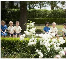 St Angela's Primary School - Education NSW 1