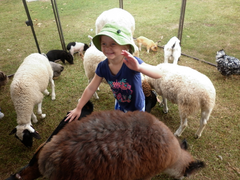 Eastside Little Learners Child Care Centre - Education NSW 1