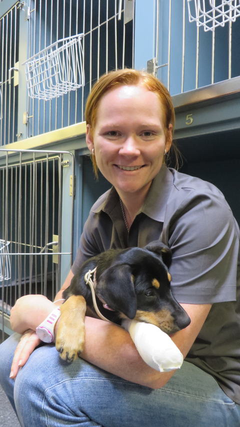 Grafton Veterinary Clinic - Education NSW 0