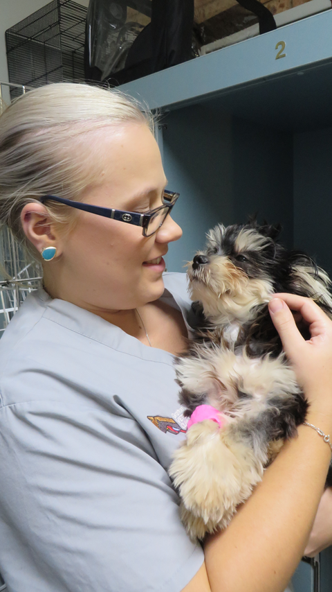 Grafton Veterinary Clinic - Education NSW 1