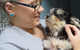 Grafton Veterinary Clinic - thumb 1