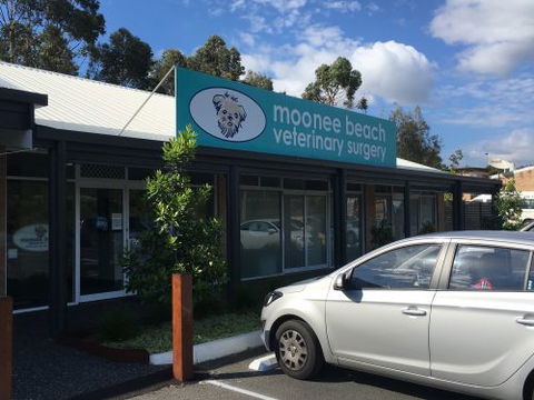 Moonee Beach Veterinary Surgery - Education NSW 0