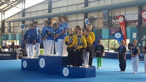 Gosford Gymnastics - Education NSW 1