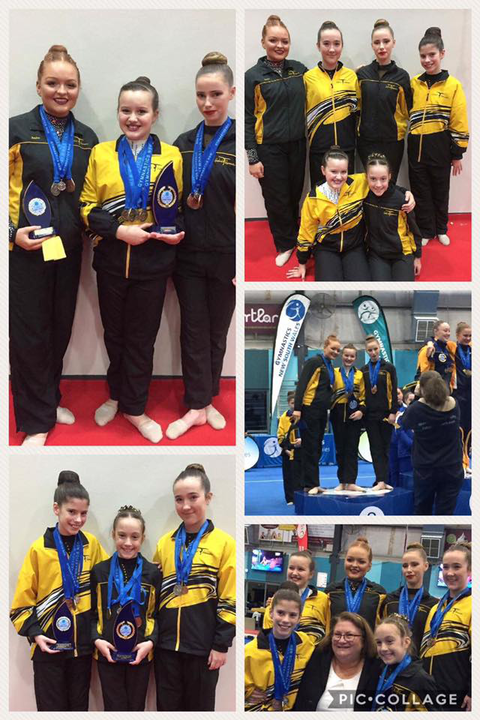 Gosford Gymnastics - Education NSW 2