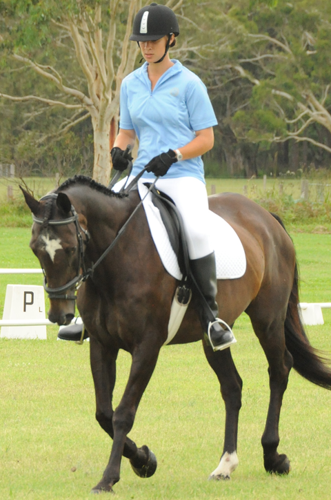 Encantador The Riding School - Education NSW 3
