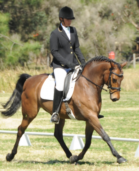 Encantador The Riding School - Education NSW 4
