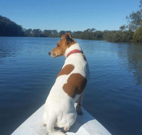 Australis Canoes  Kayaks - Education NSW