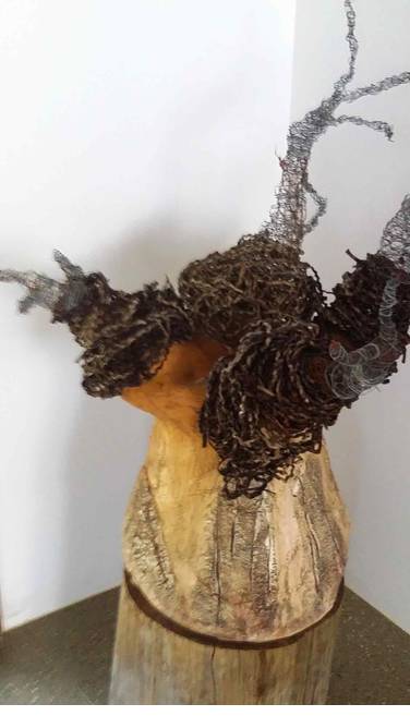 Reimanis Andy - Education NSW 0