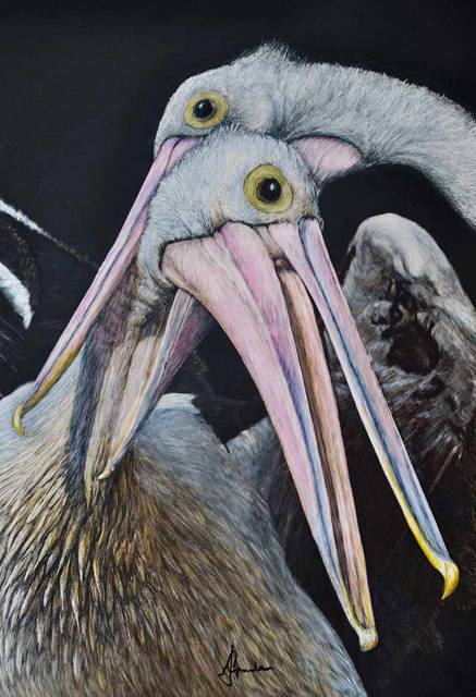 Reimanis Andy - Education NSW 1