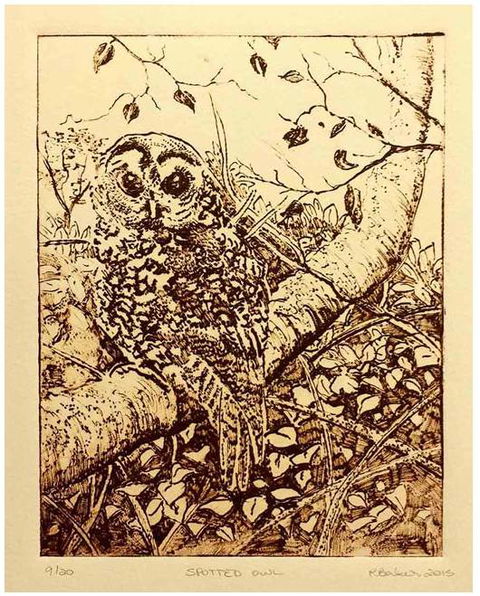 Reimanis Andy - Education NSW 3