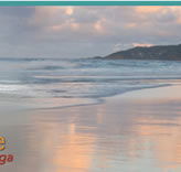 Byron Yoga Centre - Education NSW