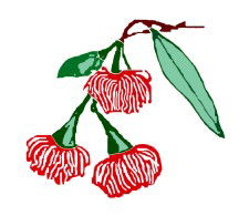 Mudgeeraba Special School - Education NSW 0