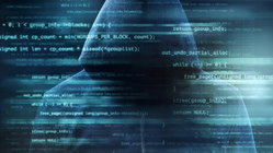 153 million driver's license scans may be on the dark web Education NSW