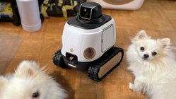 AI robot may stop your dog from barking while you're gone Education NSW