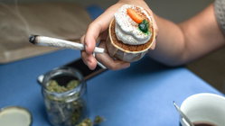 Cannabis cafes may become tourist draw in US city as lung experts cite 'toxic chemical' concerns Education NSW