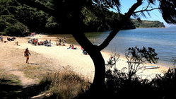 Deadly mystery unfolds as canoeists are found unresponsive after midnight trip Education NSW