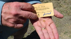 Grandfather finds hidden treasure in plain sight as park officials 'dumbfounded' by discovery Education NSW