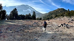 Mount Shasta climber recounts harrowing 500-foot slide, overnight crawl to safety: report Education NSW