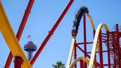 Popular amusement park bans guest for life after roller coaster stunt viral video Education NSW