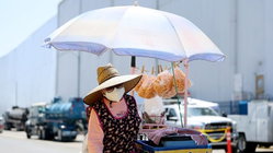 Rotting food stench still hangs over neighborhood weeks after massive warehouse blaze Education NSW