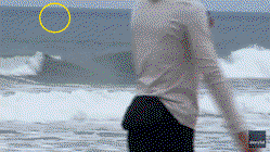 Shark Week shocker as great white breaches just yards from oblivious boogie boarder Education NSW